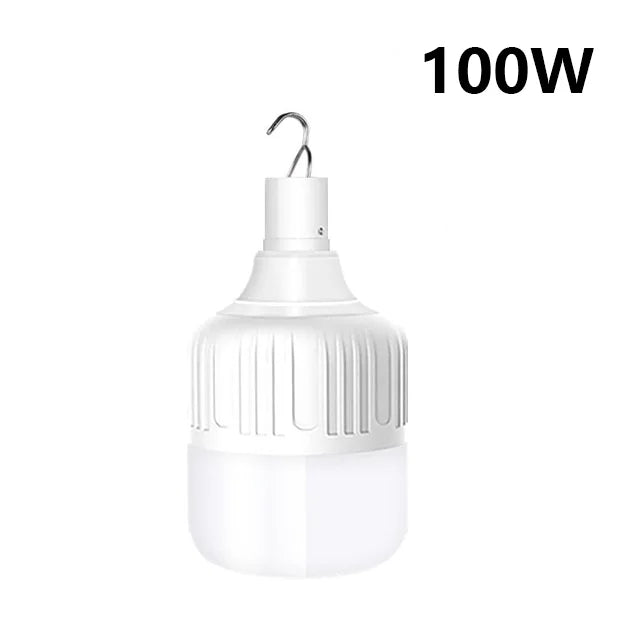 Hanging lamp (certified not infested with genie)