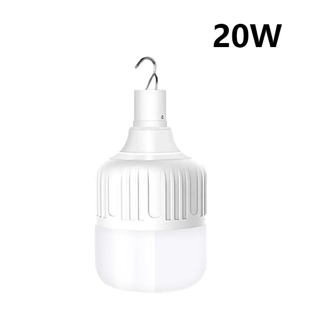Hanging lamp (certified not infested with genie)